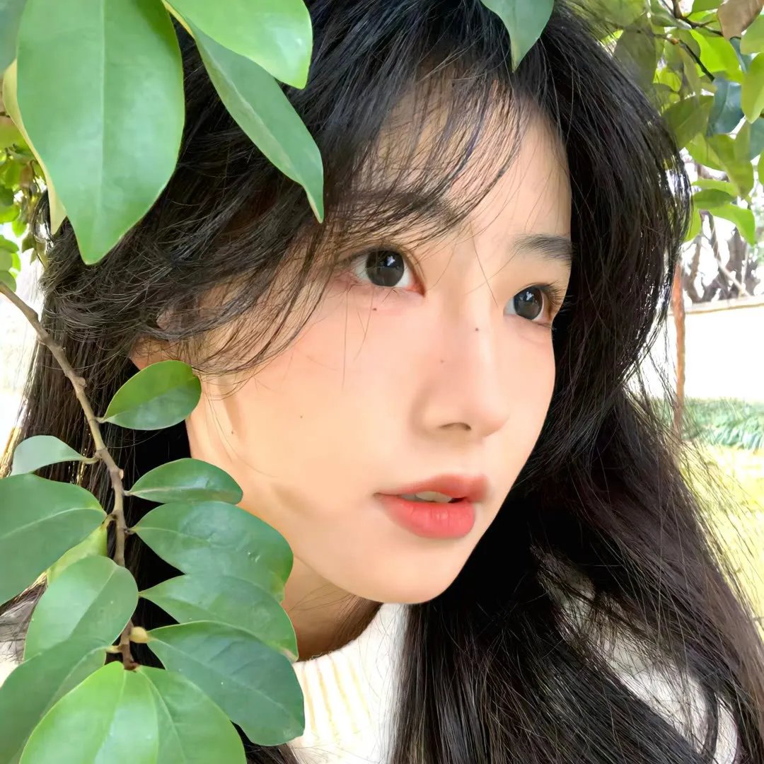 红色羊齿草的故乡